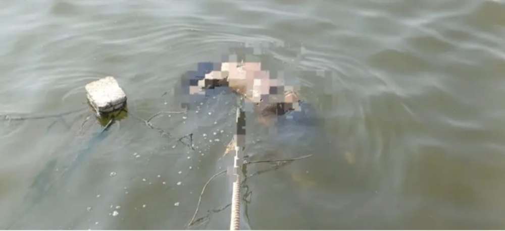 Kashi Ki Aawaz | चंदौली में गंगा में उतराया मिला अज्ञात महिला का शव, पुलिस जांच में जुटी